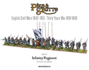 Pike & Shotte : Infantry Regiment