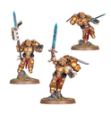 Blood Angels : Sanguinary Guard │ Warhammer 40.000