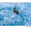 Pwork : Ice Planet │ 120x180cm - Mouse Pad