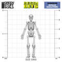 Green Stuff : Human Skeletons 1/48 │Resin Bits