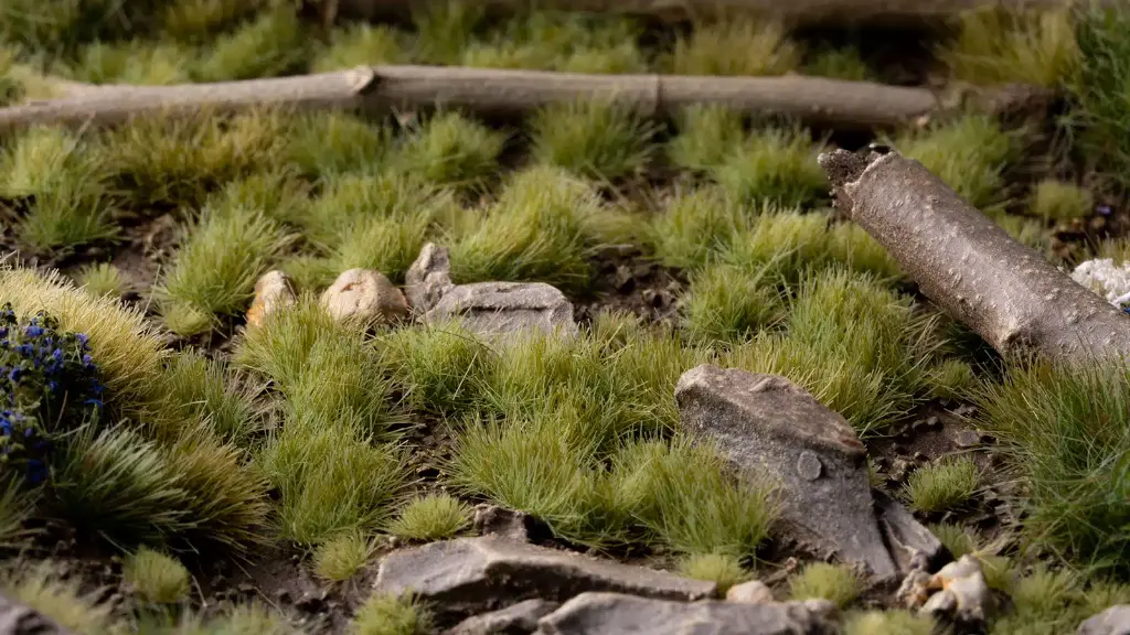 green-4mm_diorama_1600x900.webp