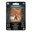 T'Au Empire : Kroot Flesh Shaper │ Warhammer 40.000