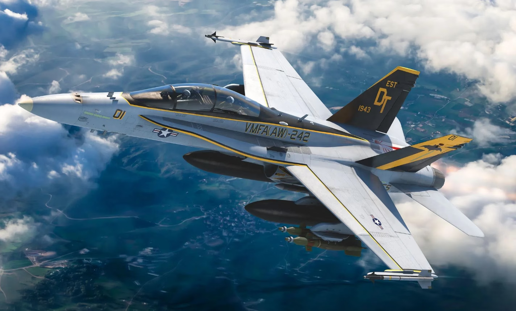 Kinetic : F/A-18D Hornet VMFA(AW)-242 "Bats"