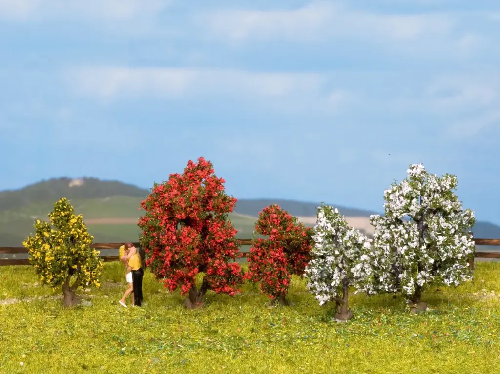 Noch : Arbustes, en fleurs