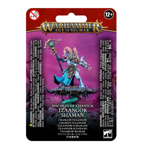 [GAW 83-76]  TZEENTCH ARCANITES TZAANGOR SHAMAN