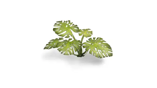 [GAG GGLP-MT] Gamers Grass : Monstera (47pcs)│ Laser Plants