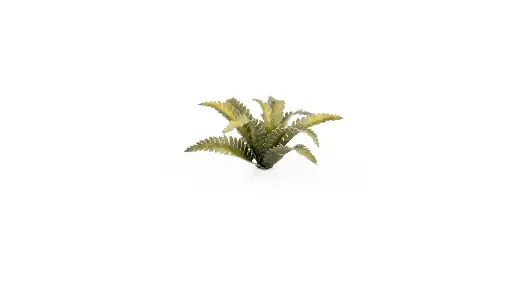 [GAG GGLP-DF] Gamers Grass : Deer Fern (38pcs) │ Laser Plants